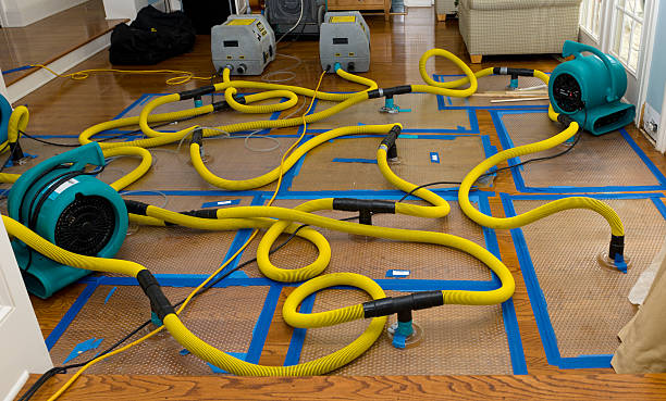 Professional Water Damage Restoration technician working in Ripon, CA